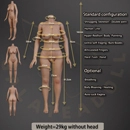 Galatea Doll ボディ選択 162cm