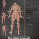 Galatea Doll ボディ選択 164cm