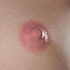 ゲーム ドール 乳輪の色 ピンク
