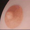 HR Doll 乳輪の色 ライトブラウン