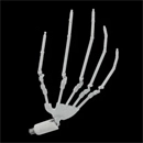 Irontech Doll 手指関節 ハンドボール関節