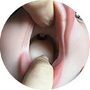 Irontech Doll 頭部機能追加 一体型舌