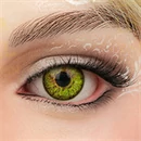 Irontech Doll 眼球カラー ハードヘッド-Bloodshot Green