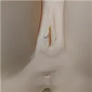 Jarliet Doll 陰部の色 肌の色と同じ