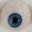 MZR DOLL（美造人） 瞳の色 #43