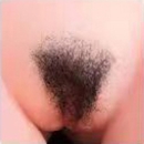Yeloly 陰毛 1#