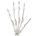 MD DOLL 指関節 手の指関節