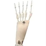 MD DOLL 指関節 足の指関節