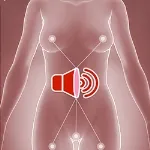 MD DOLL 複数機能追加オプション 5点接触うめき声