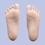 MD DOLL 自立加工 なし