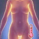 MD DOLL 複数機能追加オプション インテリジェントな定温加熱