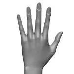 MD DOLL 複数機能追加オプション 硬い手