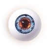 Climax Doll 眼球色 blue-orange