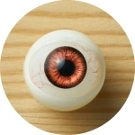 Myloliwaifu 眼球カラー 1