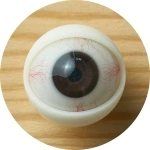 Myloliwaifu 眼球カラー 10