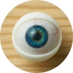 Myloliwaifu 眼球カラー 11