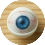 Myloliwaifu 眼球カラー 12