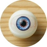 Myloliwaifu 眼球カラー 4