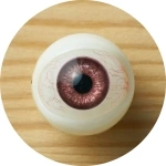 Myloliwaifu 眼球カラー 5