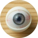 Myloliwaifu 眼球カラー 7