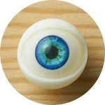 Myloliwaifu 眼球カラー 8