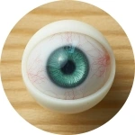 Myloliwaifu 眼球カラー 9