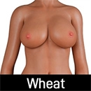 Nianta Doll 肌の色 小麦色