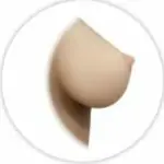 Normon Doll 乳房タイプ ノーマル胸