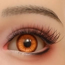 Orange in 眼球 #11