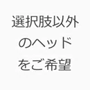 WMDOLLSアジア系 頭部オプション 選択肢以外のヘッドをご希望