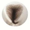 PiperDoll 陰毛 ＃9