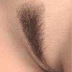 AIBEI DOLL（シリコン製） 陰毛 あり（少量）