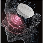 Real Lady 機能追加（複数購入可能） AI音声ボックス（R4 ROS MAX限定）