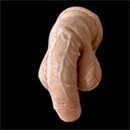Realing ペニス 0(12.5cm)