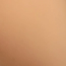 Ridmii Doll 肌の色 小麦肌