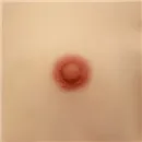 AIBEI DOLL（シリコン製） 乳輪のサイズ 2cm