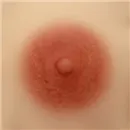 AIBEI DOLL（シリコン製） 乳輪のサイズ 7cm