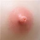 AIBEI DOLL（シリコン製） 乳輪の色 ピンク