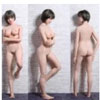 SINO DOLL ボディタイプ 152cm-Dカップ