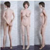 SINO DOLL ボディタイプ 161cm-Eカップ