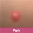 SEDOLL 乳輪の色 ピンク