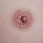 Strawberry Garden 乳輪カラー 乳輪カラー#2