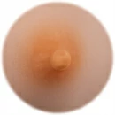 Starpery 乳輪の色 TPE体-1