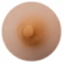 Starpery 乳輪の色 TPE体-2
