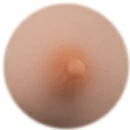 Starpery 乳輪の色 TPE体-6
