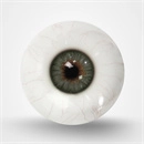 TOP-CYDOLL 瞳の色（可動式） グレーグリーン（血管入り）