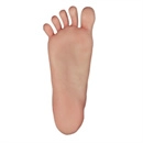 TOP-CYDOLL スタンディング機能 あり（ボルト露出なし）（シリコン製ボディ限定）