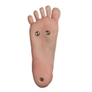 TOP-CYDOLL スタンディング機能 あり