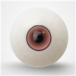 TOP-CYDOLL 瞳の色（可動式） ブラウン-3（血管入り）