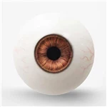 TOP-CYDOLL 瞳の色（可動式） ブラウン-4（血管入り）